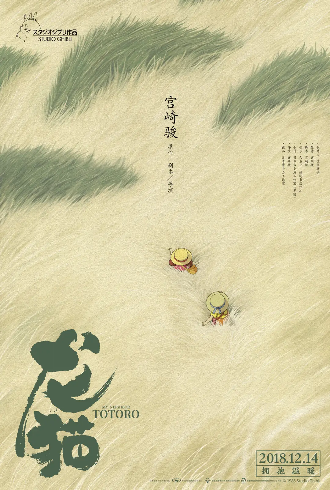 龙猫 