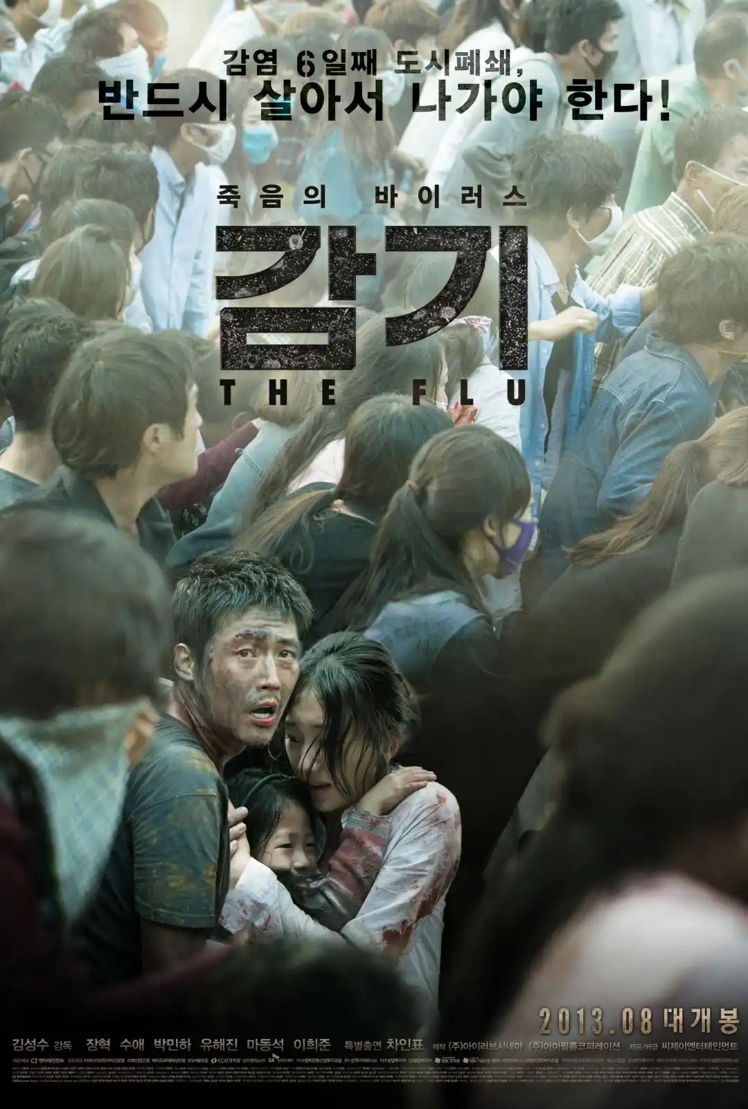 流感 (2013)