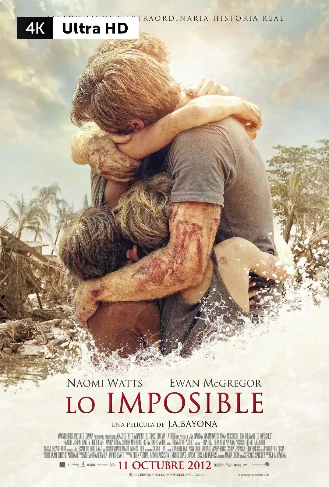 海啸奇迹 Lo imposible