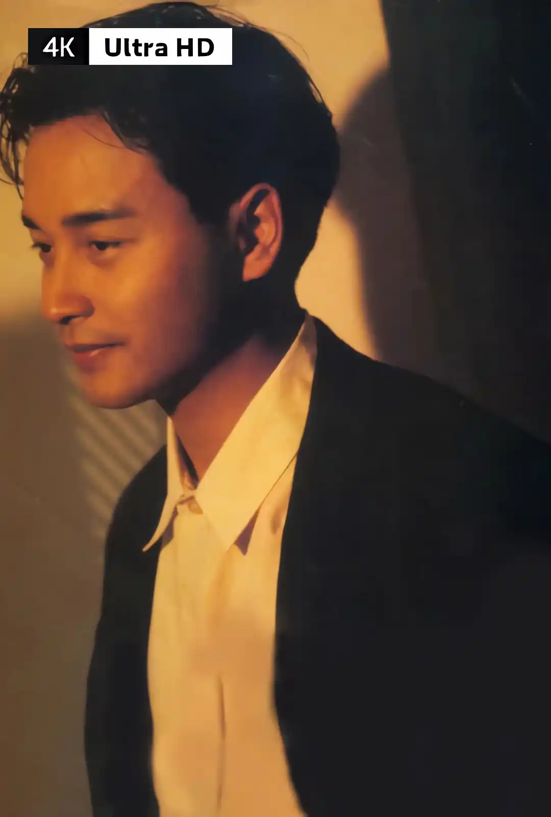 张国荣 Leslie Cheung（系列影片合集）